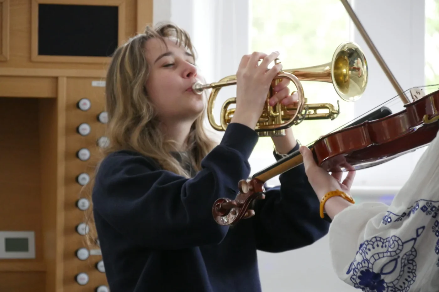 Barney Festival of Music